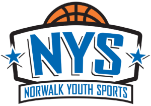 NYS Logo